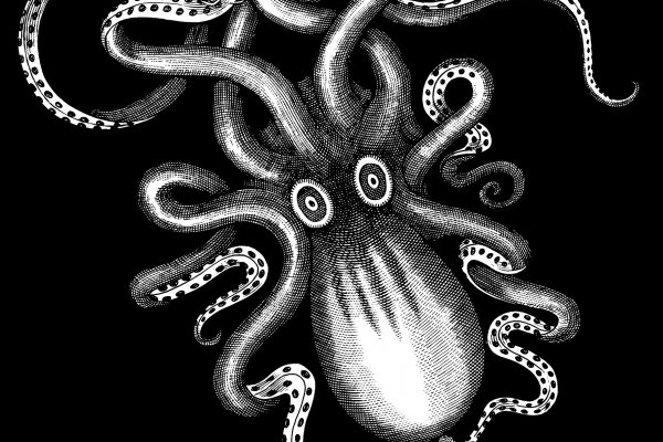 Kraken реальный сайт
