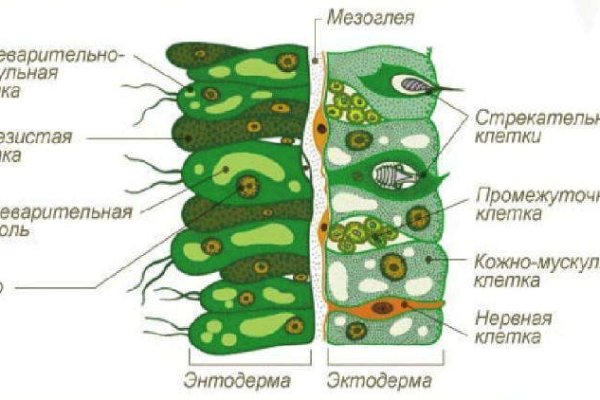 Кракен даркнет войти